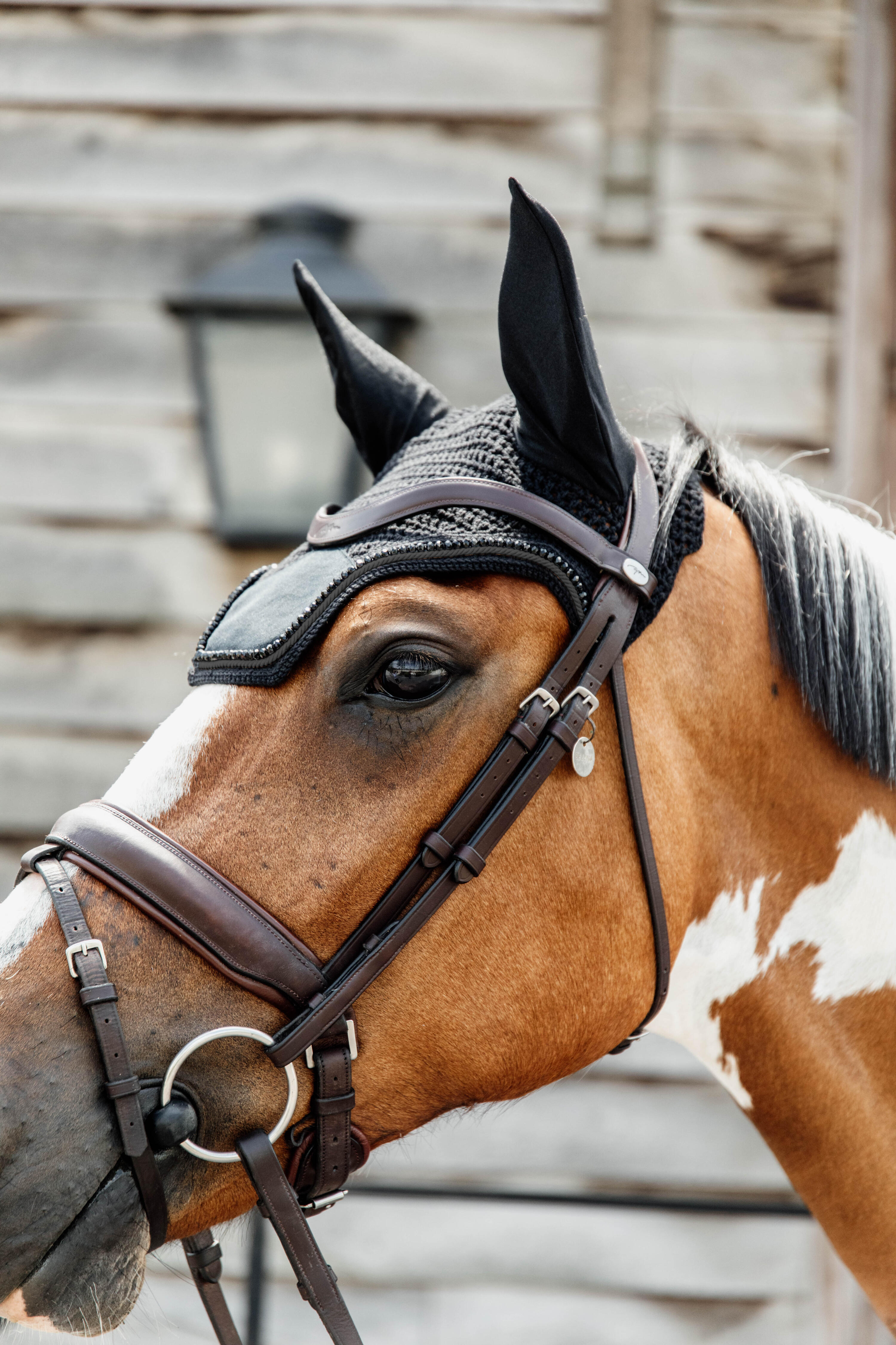 Wellington Oornetje - Velvet Pearls - Zwart - Voor Paard 5/5