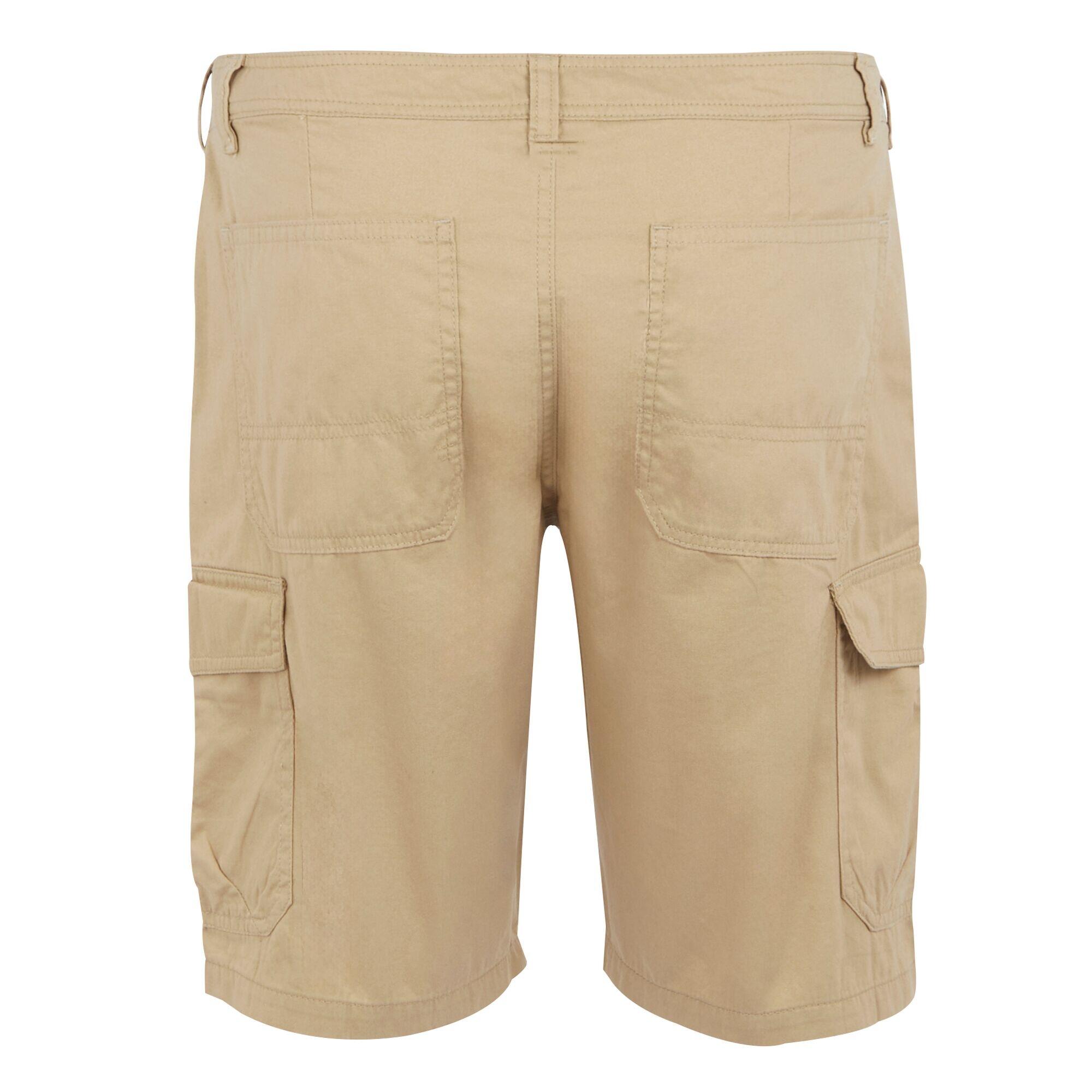 Pantaloncini Casual Uomo Regatta Ruwan Avena 2/5