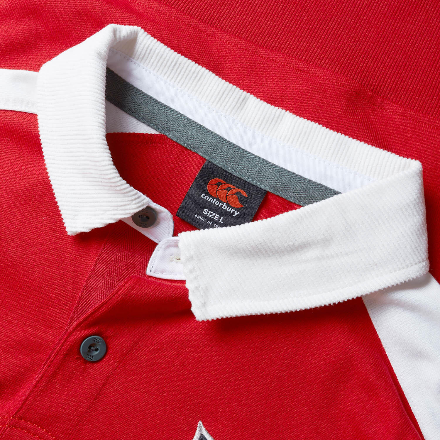 British & Irish Lions 2025 Unisex Heritage Rugby Shirt 3/5