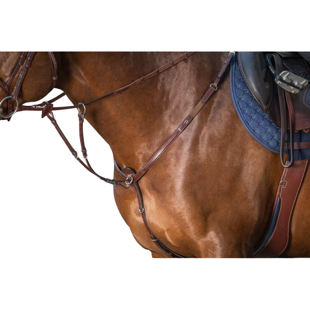 Collier de chasse + martingale marron taille cob en cuir