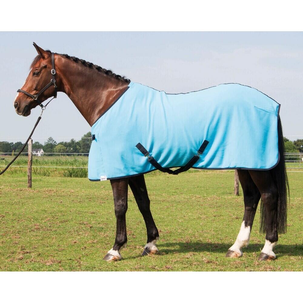 Coperta per cavalli Harry's Horse Colours 2/2