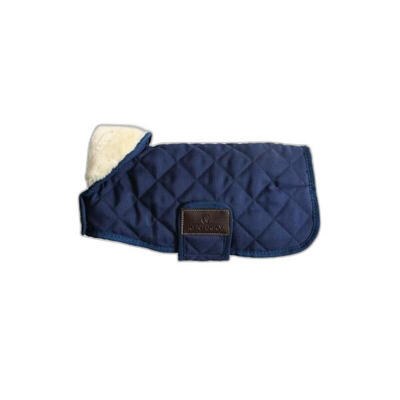 Second use - Hundemantel Kentucky Original 160g