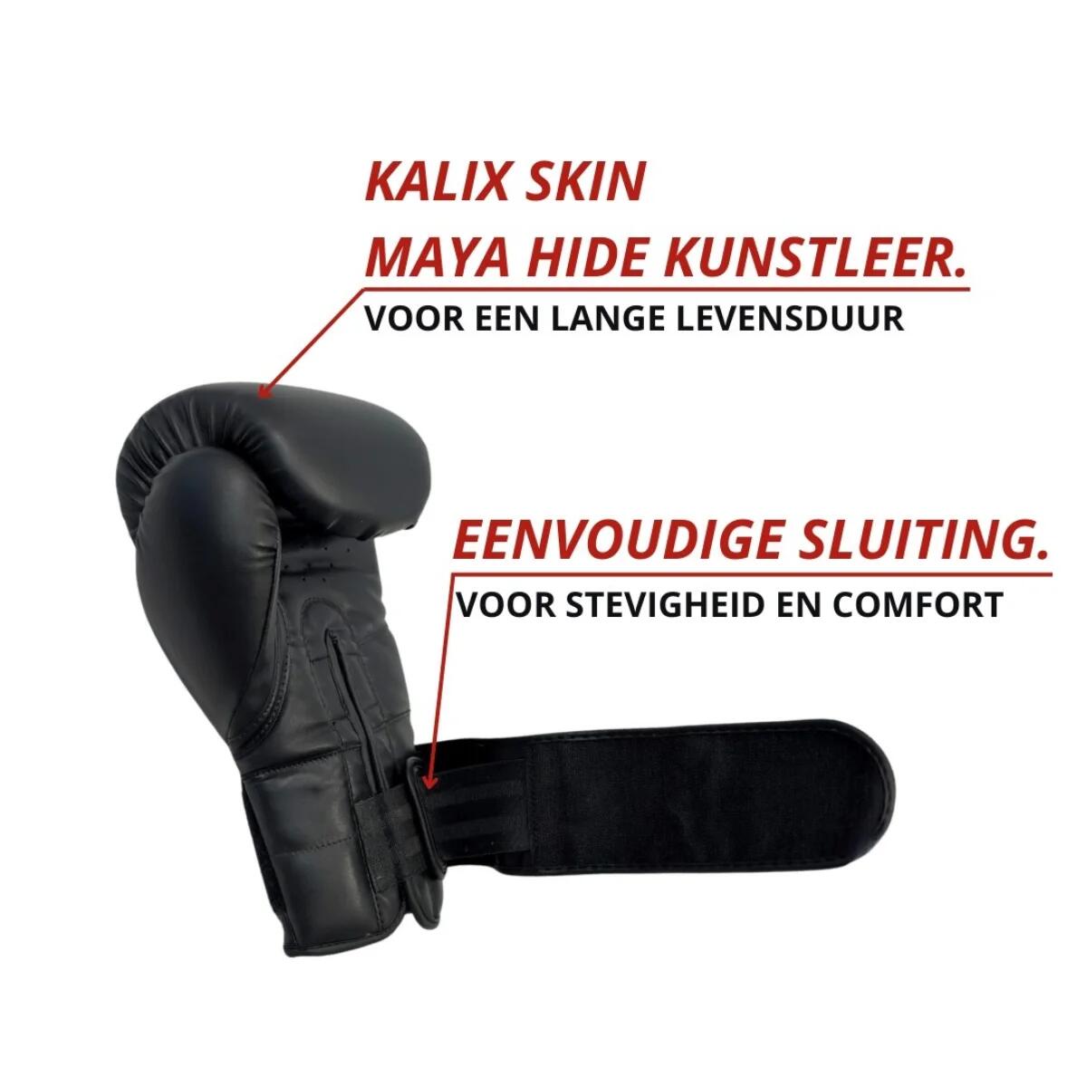 Bokshandschoenen Sparring Kunstleer - 14 oz 2/7