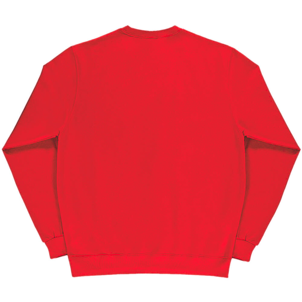 Ladies/Womens Crew Neck Long Sleeve Sweatshirt (Red) 2/2