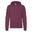 Sweat À Capuche Homme (Bordeaux)