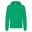 Sweat À Capuche Homme (Vert)