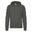 Sweat À Capuche Homme (Gris)