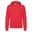 Sweat À Capuche Homme (Rouge)