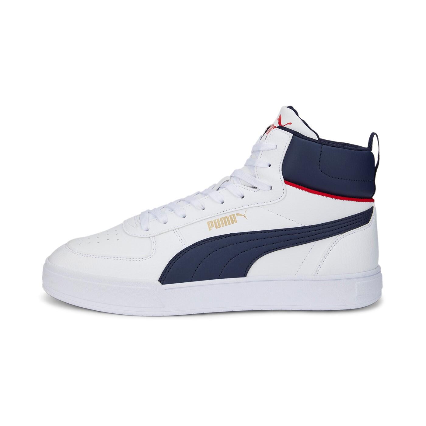PUMA picture