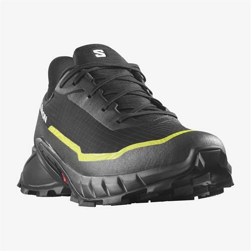 Buty do biegania męskie Salomon Alphacross 5 Gtx