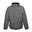 Veste DOVER Hommes (Gris/noir)