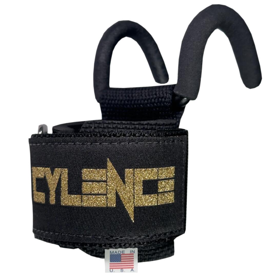 SCHIEK SPORT'S INC. USA picture