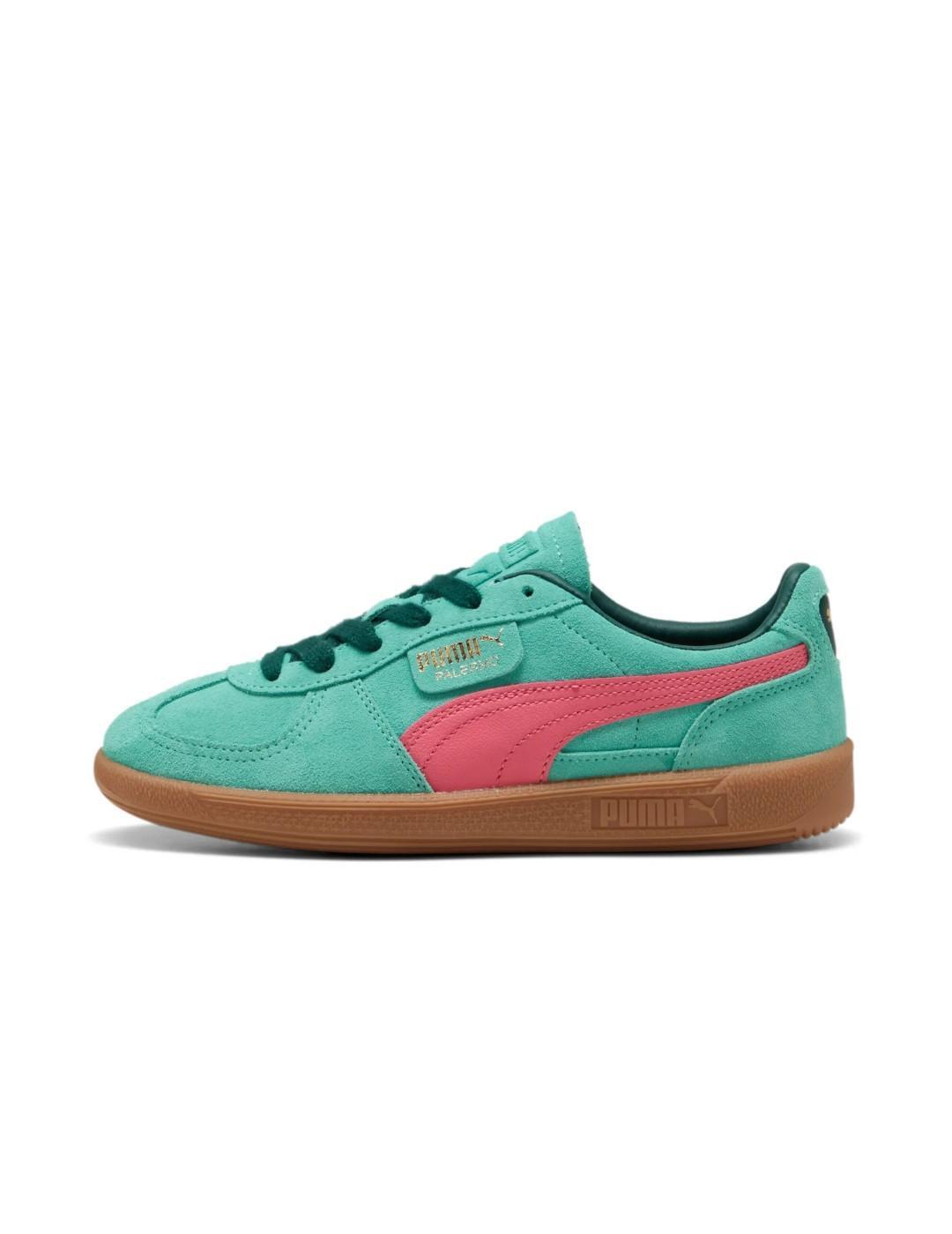 PUMA picture
