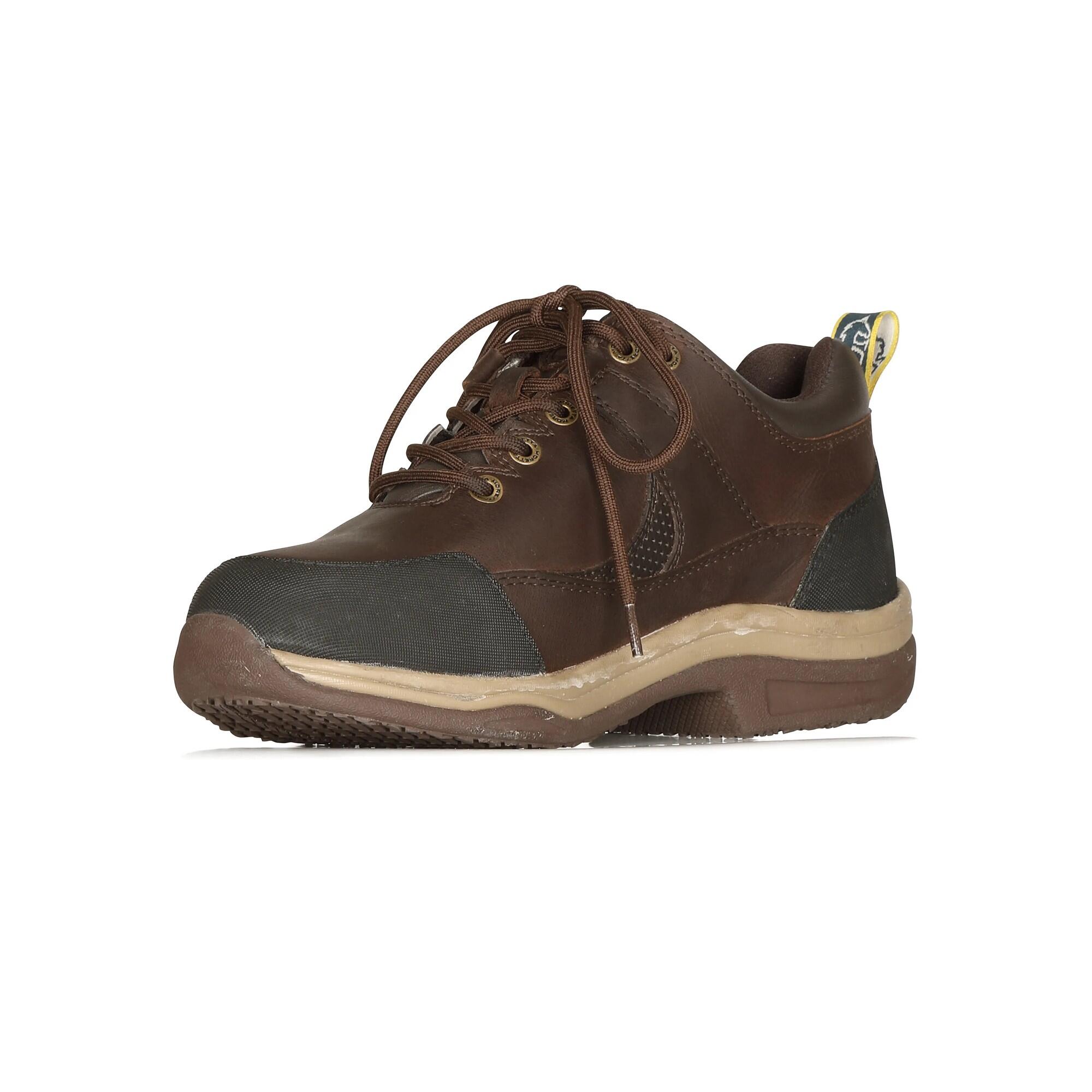 Womens/Ladies Norvara XGRIP Buffalo Leather Trainers (Brown) 4/4