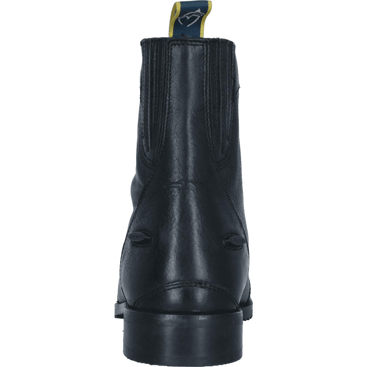 Womens/Ladies Viviana Zip Leather Paddock Boots (Black) 2/4