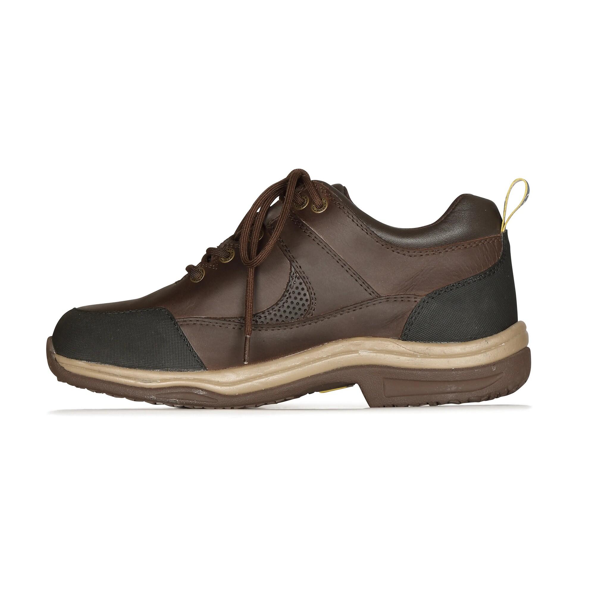 Womens/Ladies Norvara XGRIP Buffalo Leather Trainers (Brown) 2/4