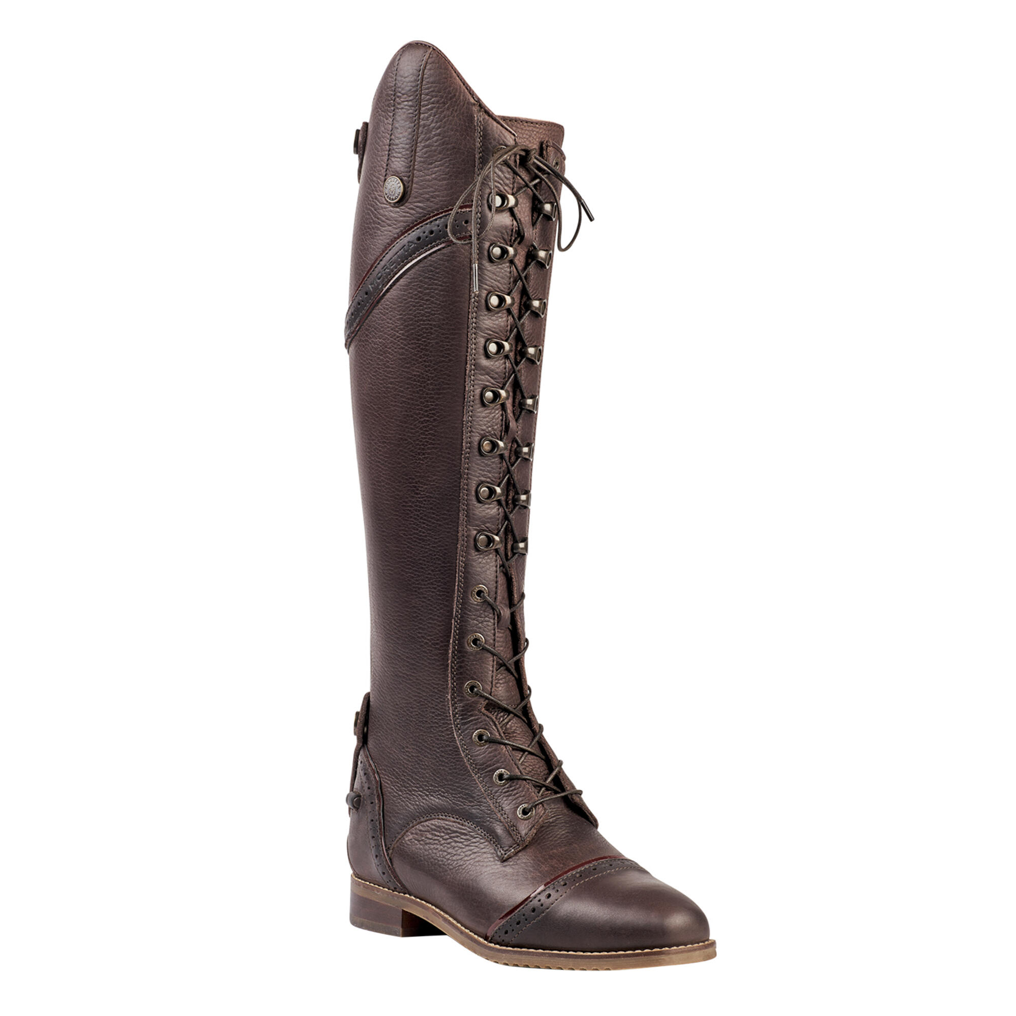 MORETTA Womens/Ladies Maddalena Leather Long Riding Boots (Brown)