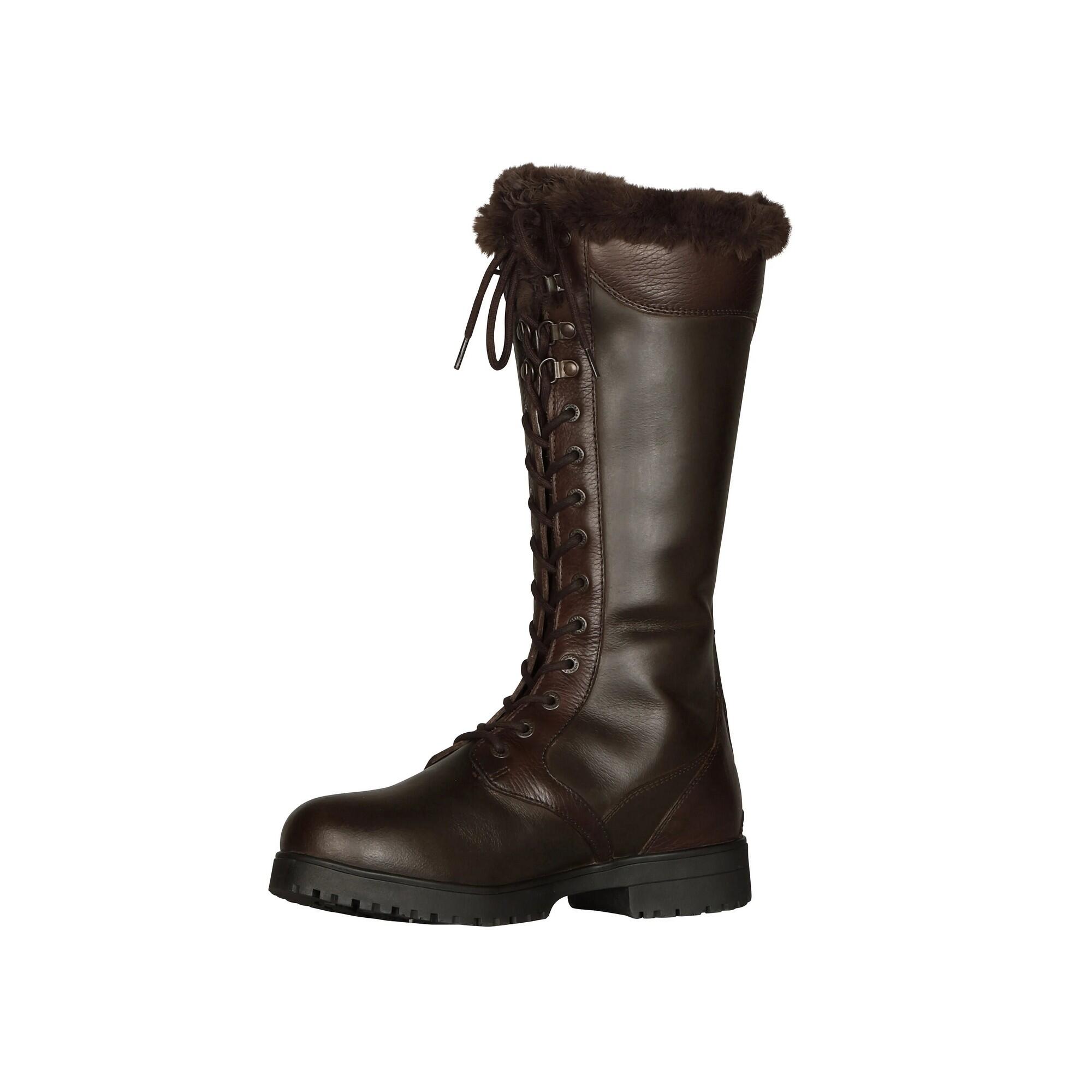 Womens/Ladies Nola Lace Leather Country Boots (Brown) 4/4