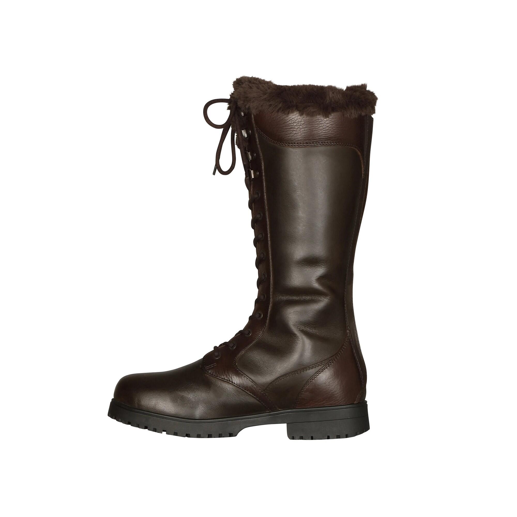 Womens/Ladies Nola Lace Leather Country Boots (Brown) 2/4