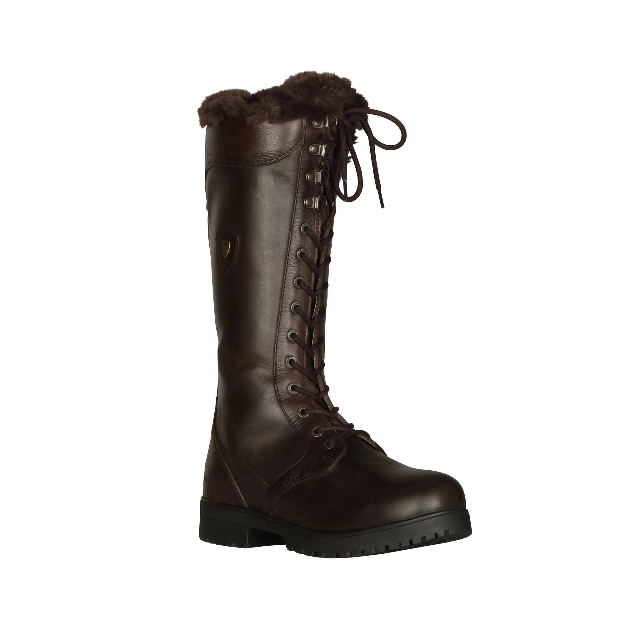 Womens/Ladies Nola Lace Leather Country Boots (Brown) 1/4