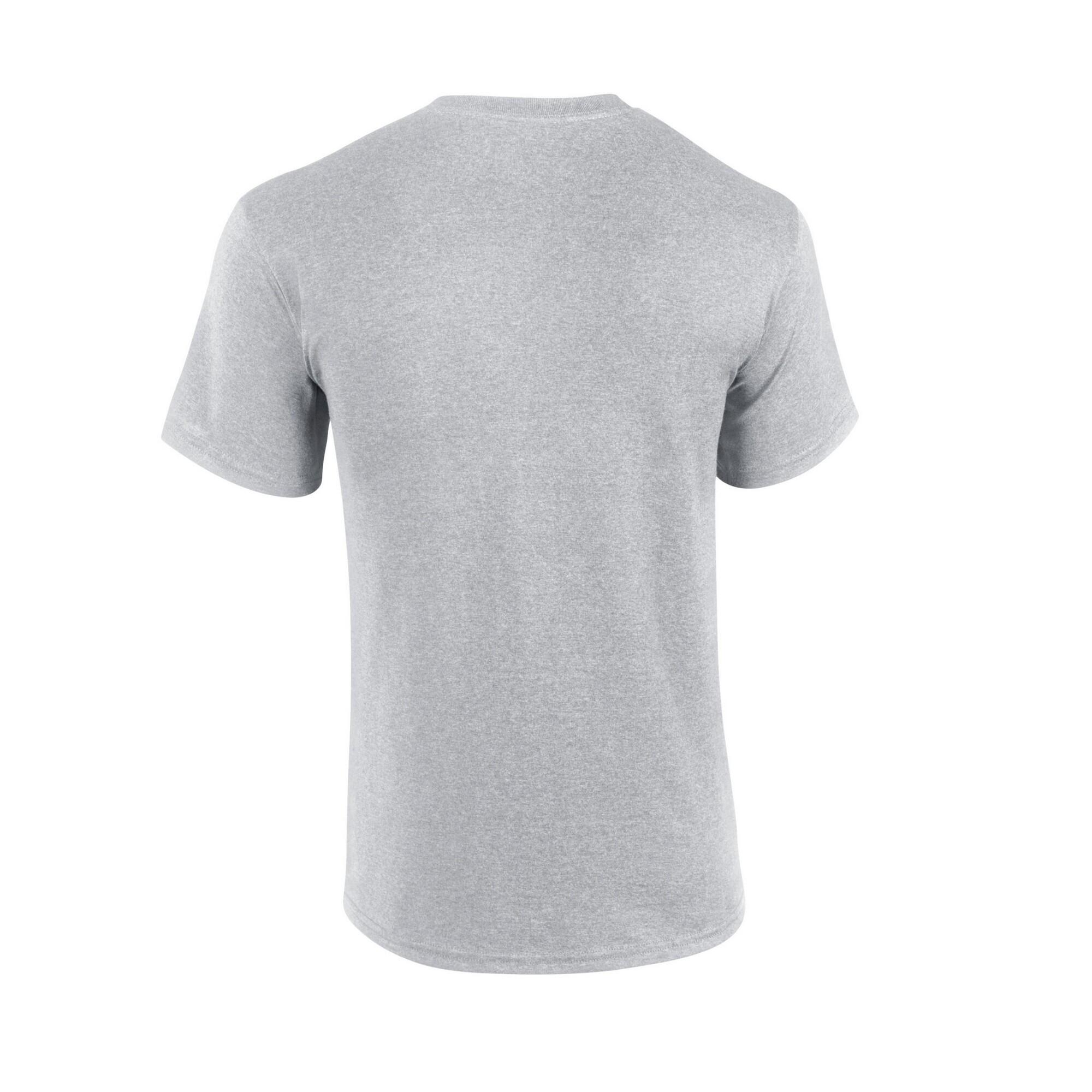 Mens Heavyweight TShirt (Sports Grey) 2/3