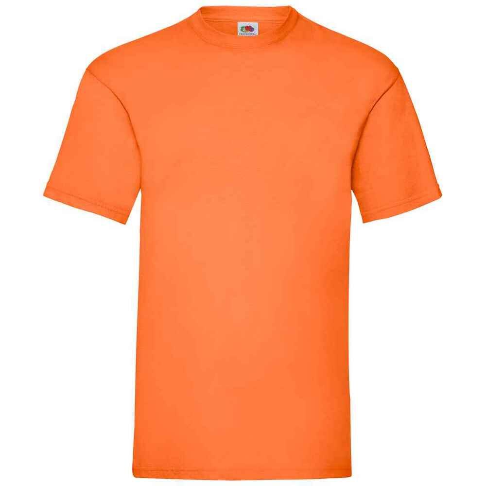 FRUIT OF THE LOOM picture