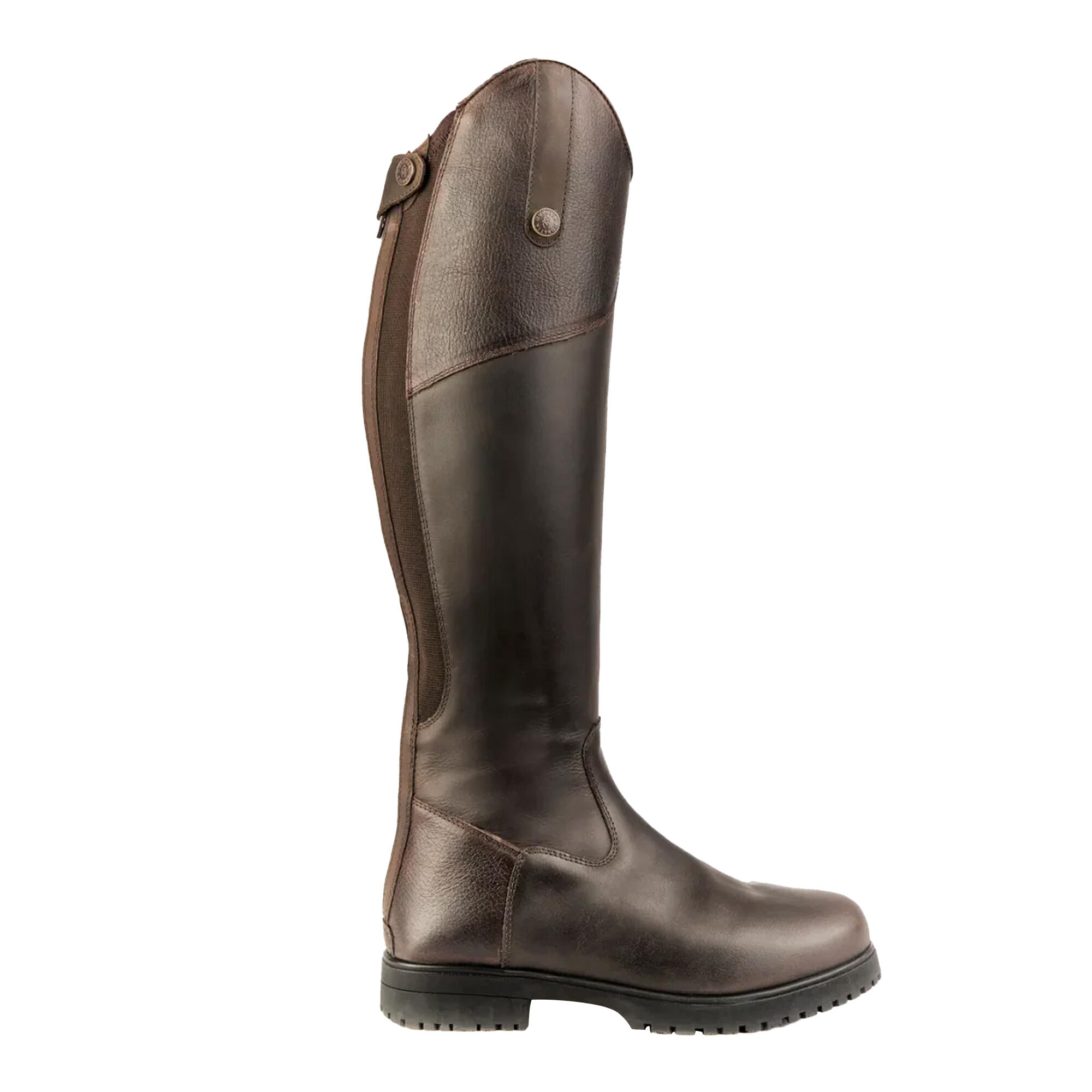 Womens/Ladies Ventura Leather Riding Boots (Dark Brown) 1/2