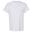 Tshirt Homme (Gis Clair)