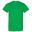 Tshirt Homme (Vert Clair)