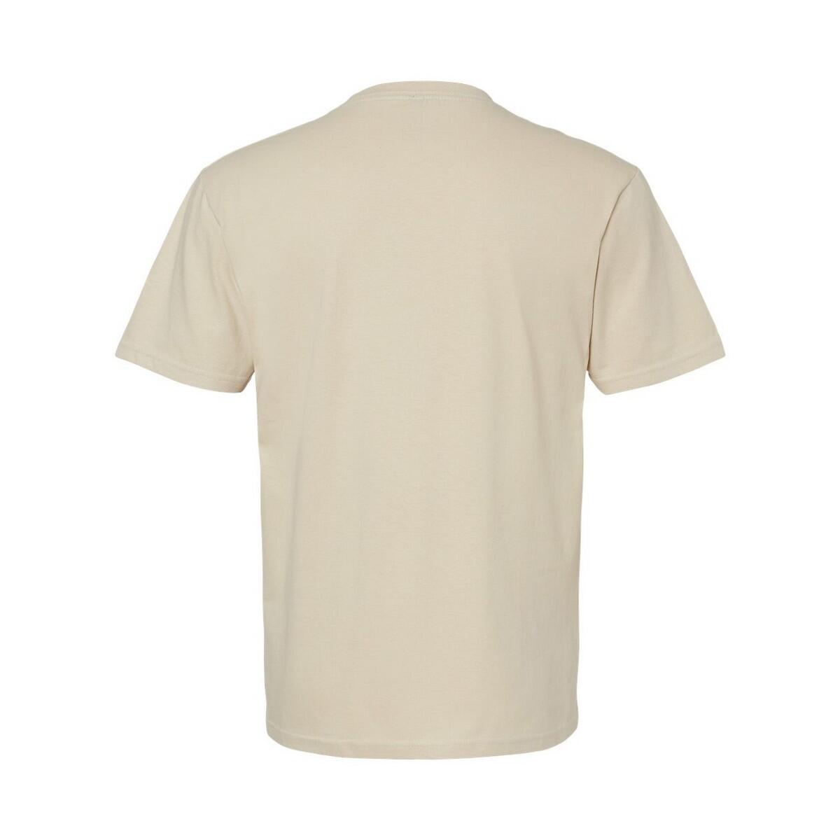 Unisex Adult Softstyle Midweight TShirt (Sand) 2/3