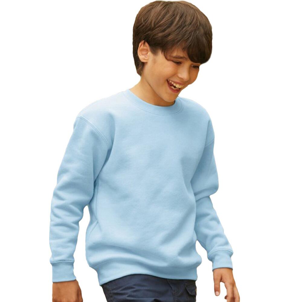 FRUIT OF THE LOOM picture