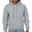 Sweat À Capuche Adulte (Gris)