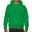Sweat À Capuche Adulte (Vert Vif)