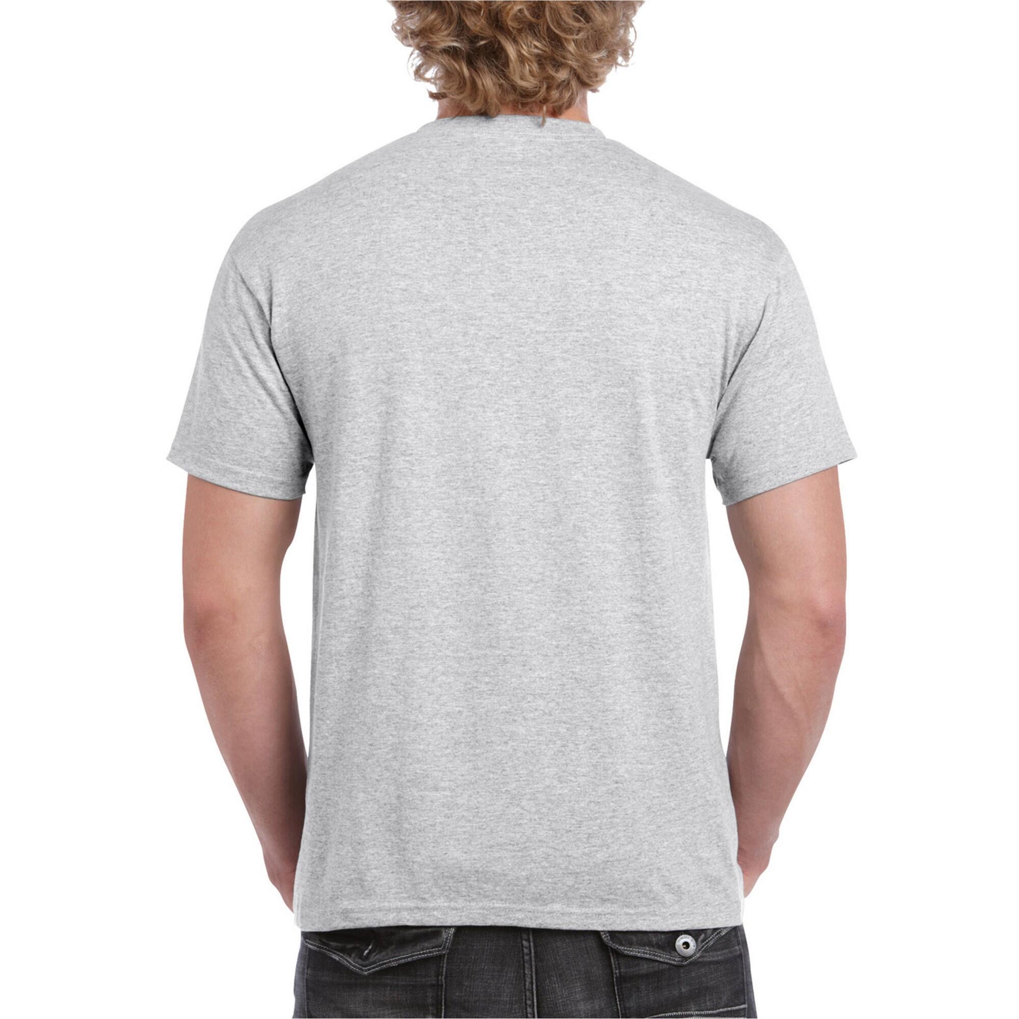Unisex Adult Plain Cotton Heavy TShirt (Ash) 4/4