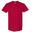 Tshirt Homme (Rouge Cardinal)