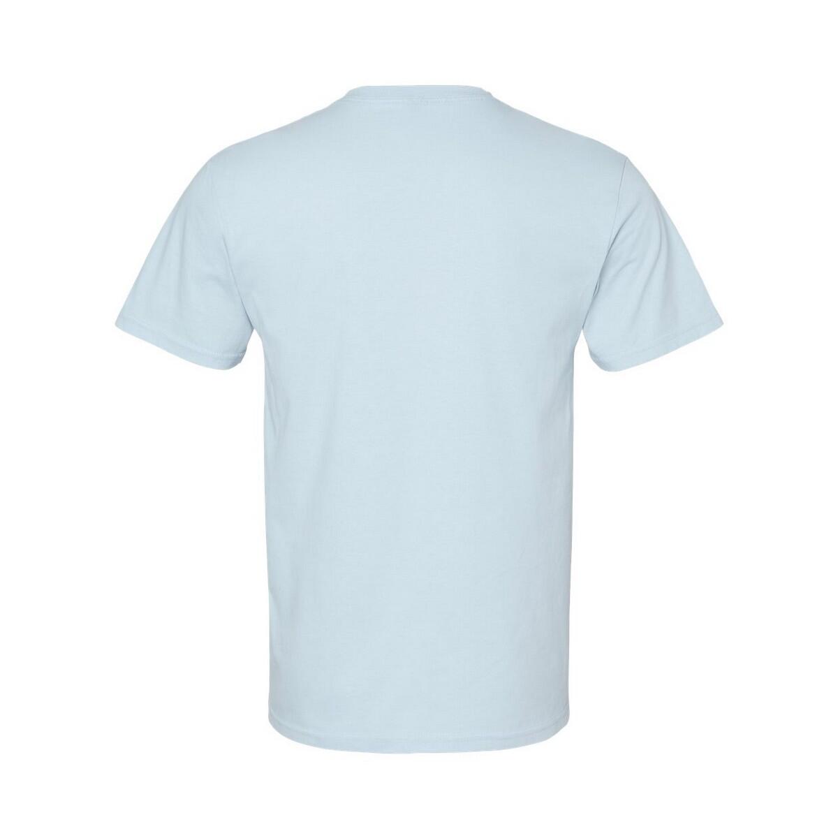 Unisex Adult Softstyle Midweight TShirt (Light Blue) 2/3