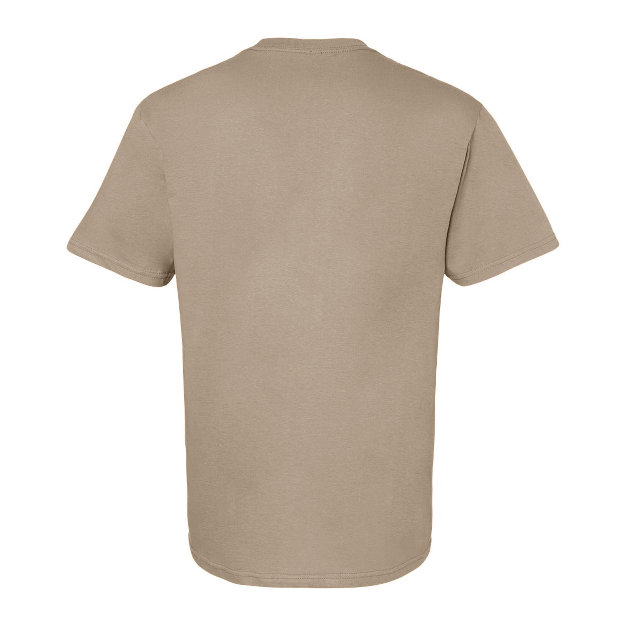 Unisex Adult Softstyle Midweight TShirt (Sand) 2/2
