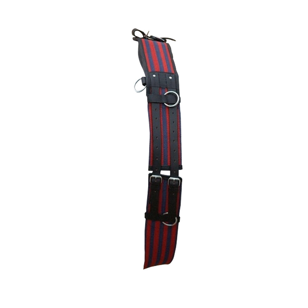Training Roller (Blue/Red) 1/1