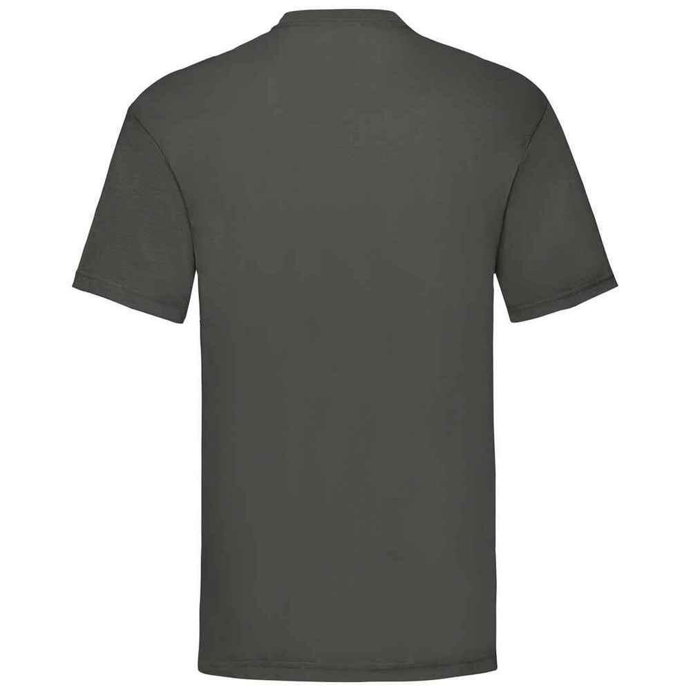 Mens Valueweight TShirt (Light Graphite) 2/3