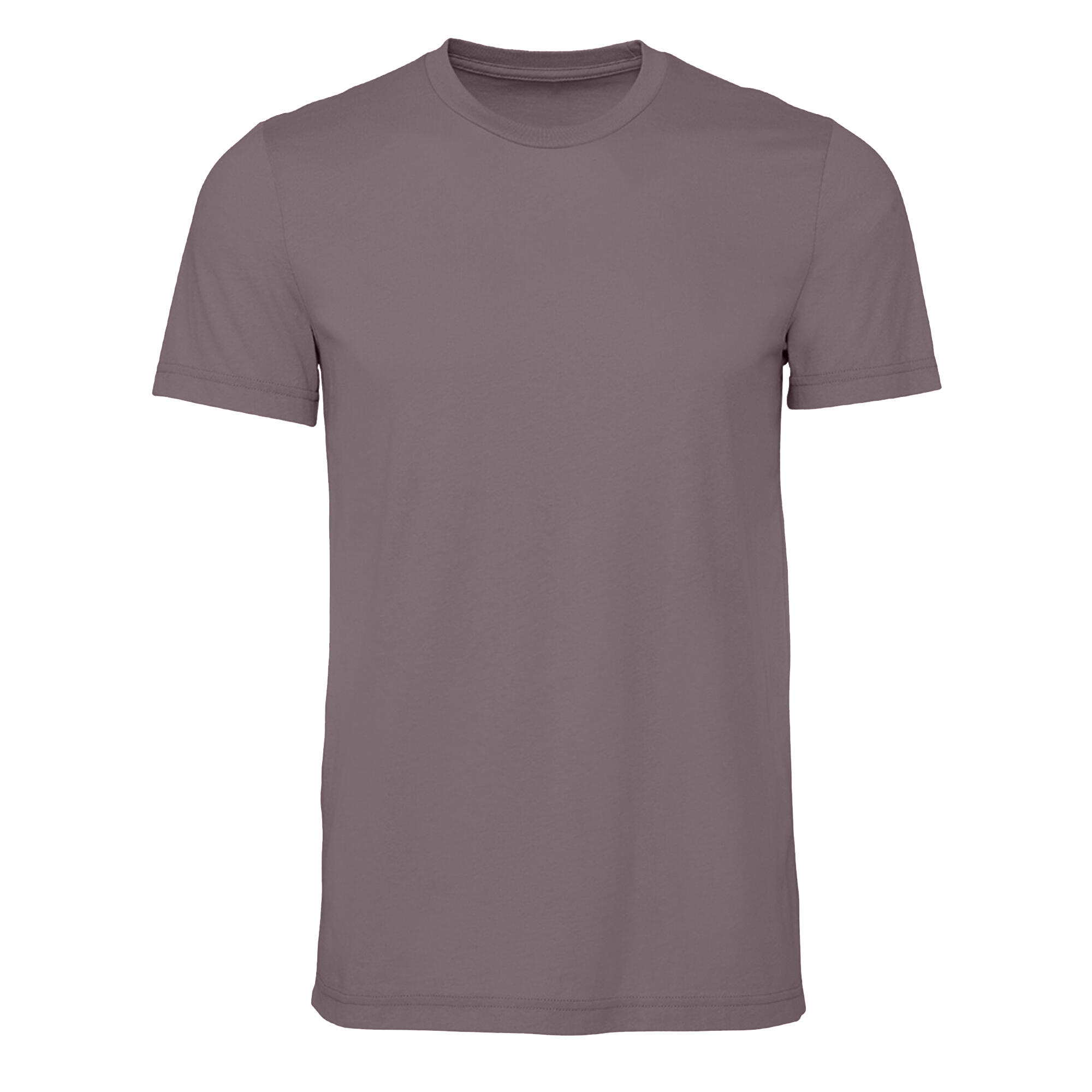Mens Midweight Soft Touch TShirt (Paragon) 2/3