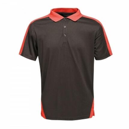 Polo Motif/style Contrasté Homme (Gris / Noir)