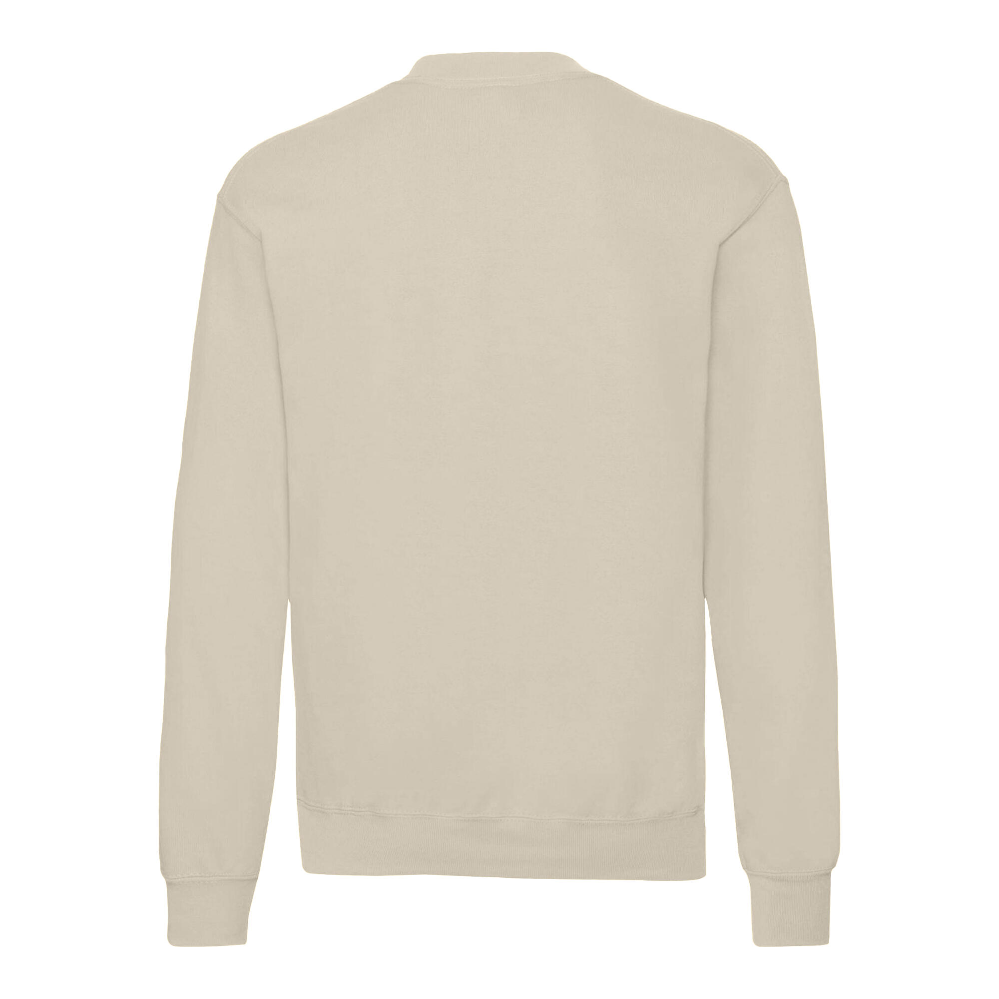 Mens Classic 80/20 Setin Sweatshirt (Cool) 2/3