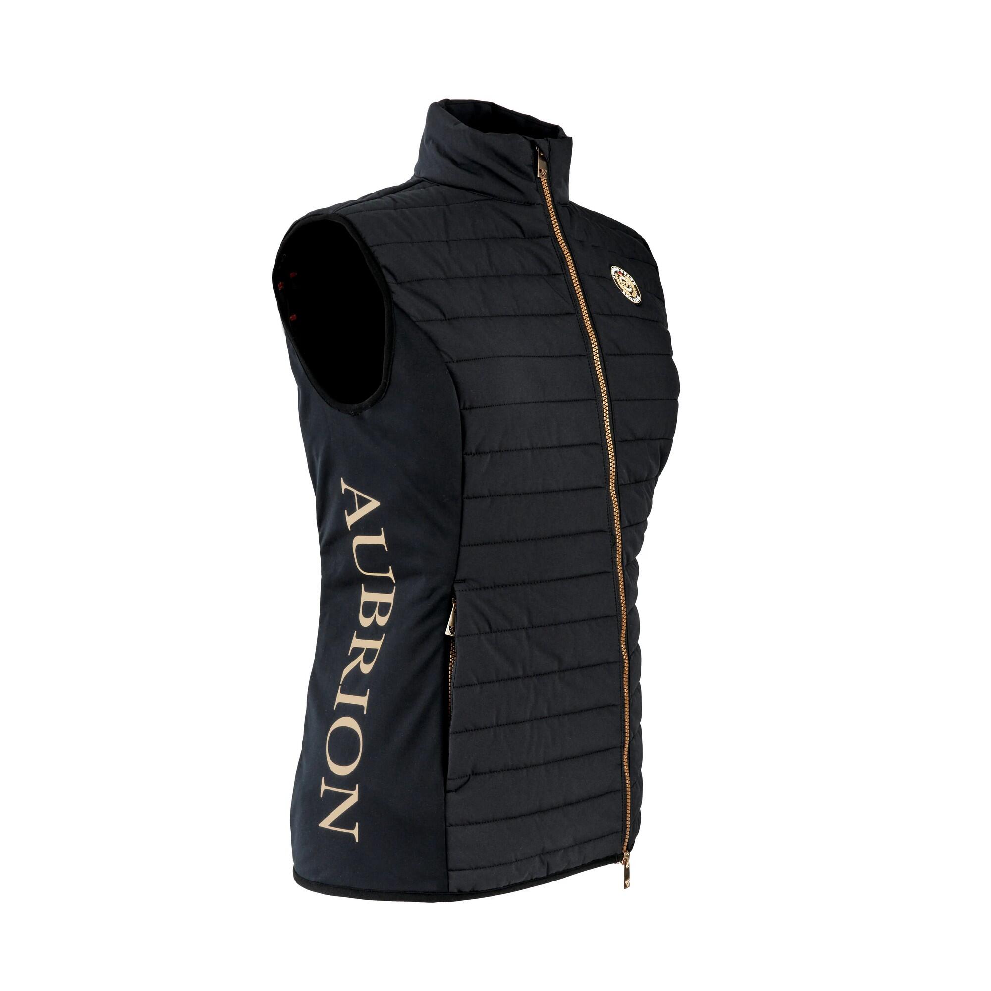 Womens/Ladies Team Gilet (Black) 3/4