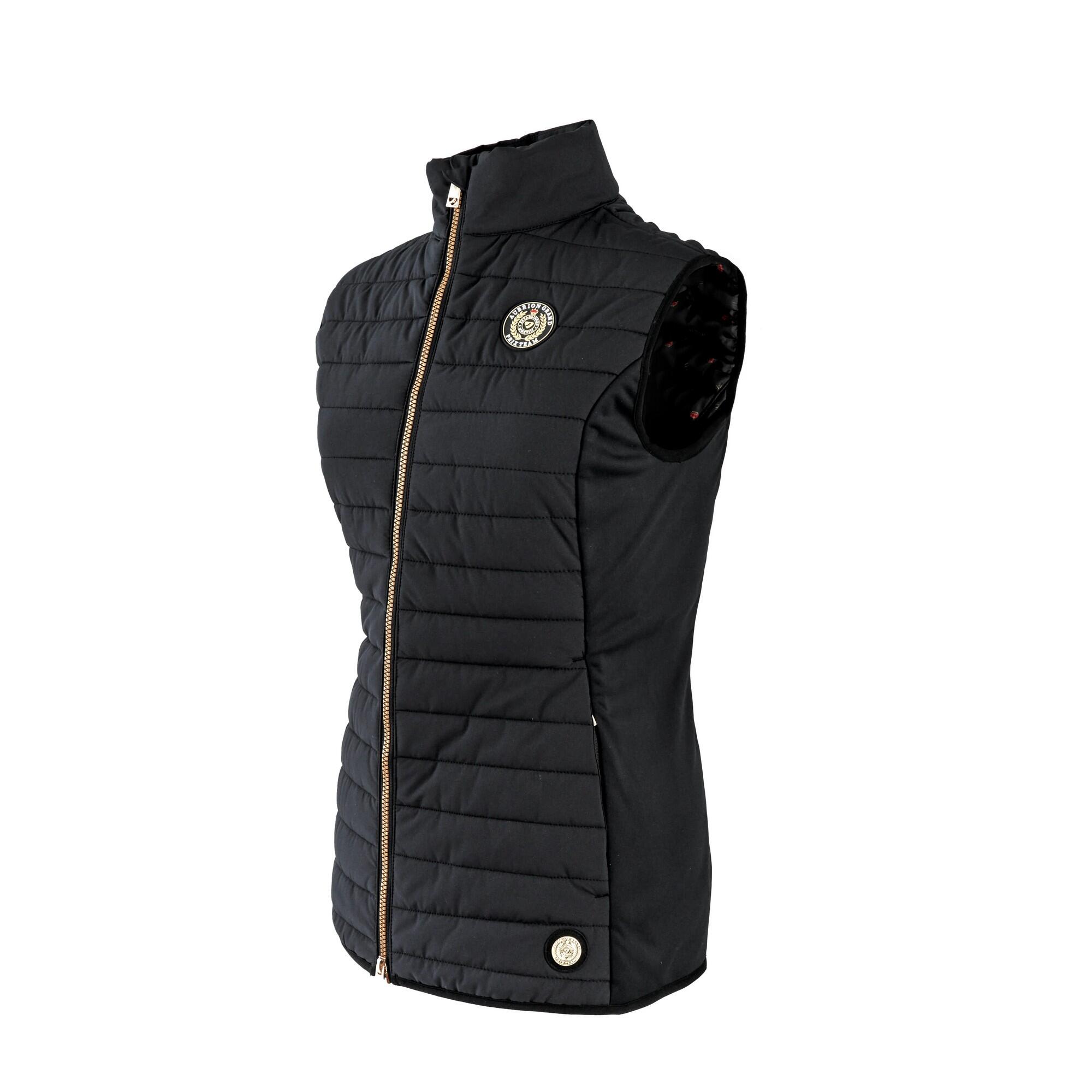 Womens/Ladies Team Gilet (Black) 4/4