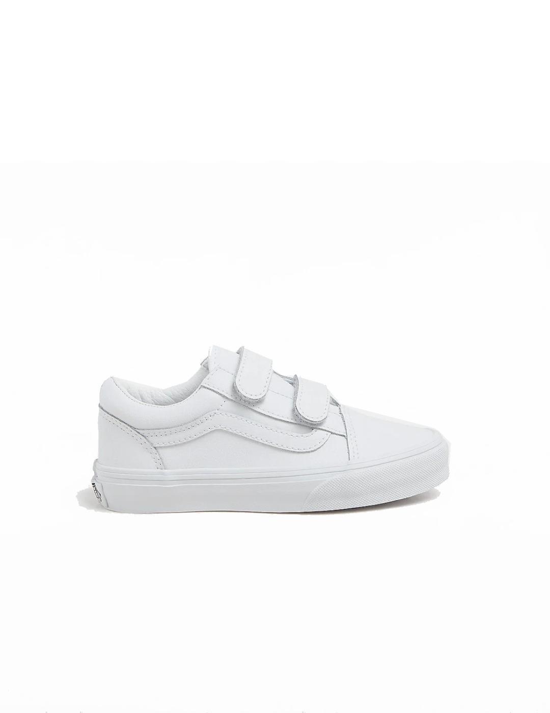 VANS picture
