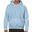 Sweat À Capuche Adulte (Bleu Clair)