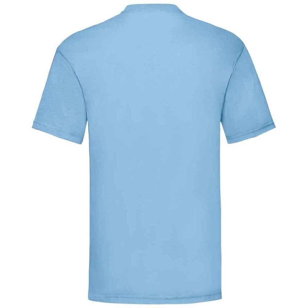Mens Valueweight TShirt (Sky Blue) 2/3