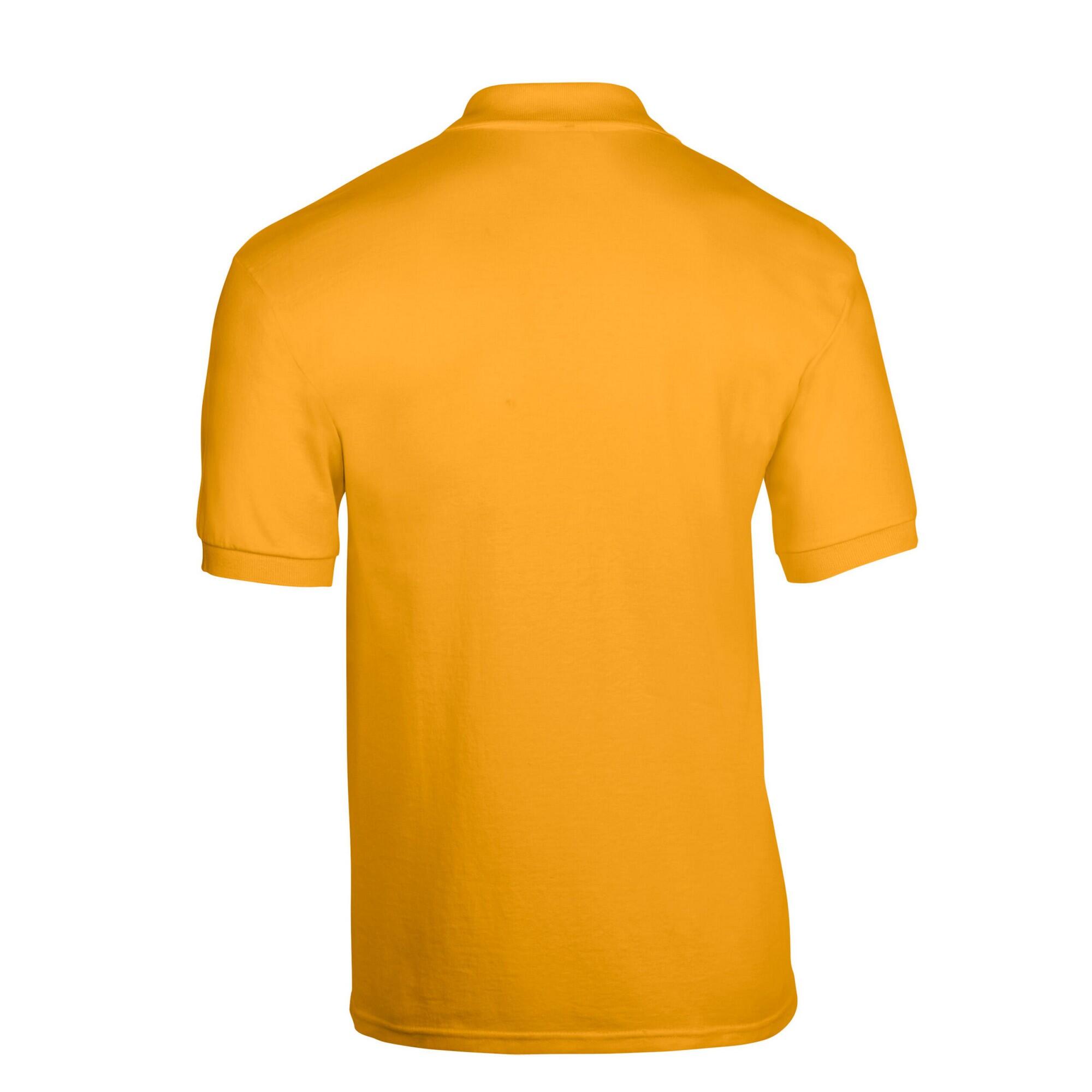 Maglietta Polo Uomo Gildan Oro 2/3