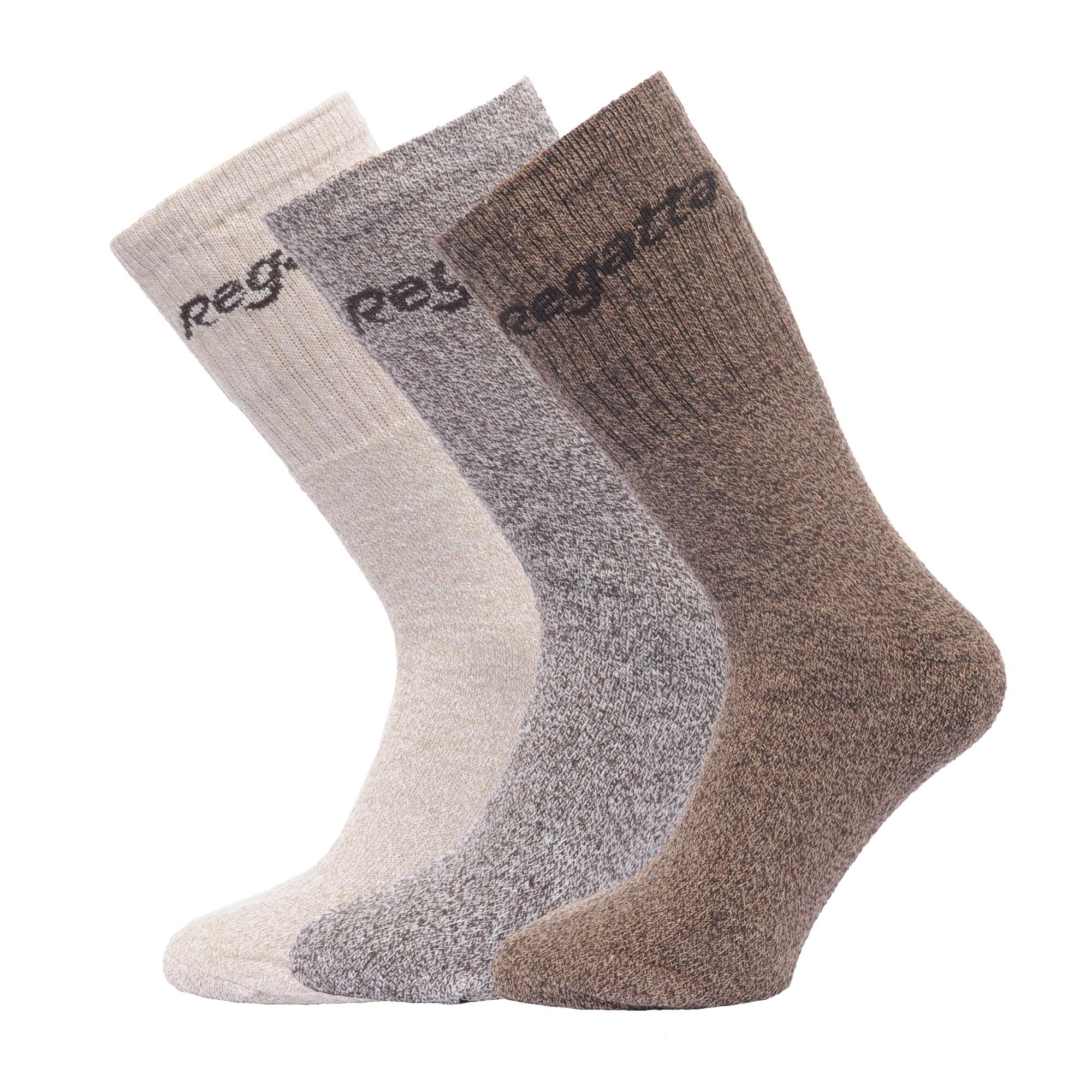 Chaussettes (lot De 3 Paires) Homme (Gris Marne) 4/5