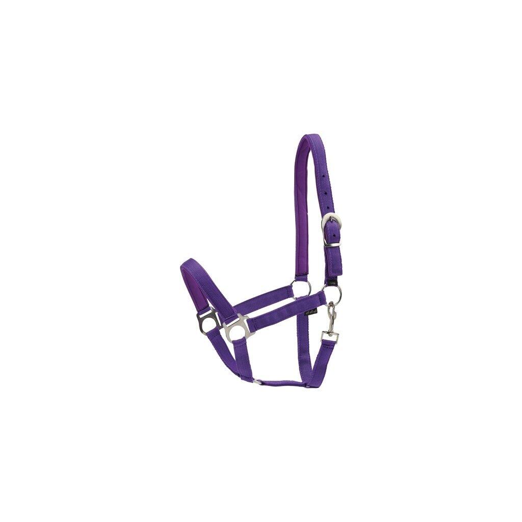 HORSE GUARD picture